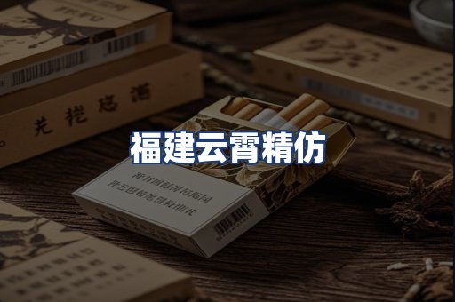福建云霄精仿